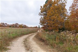 property photo for Hawkcrest Tract 21, 5.27 acres for sale in Reynolds County, Missouri