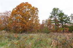 property photo for Hawkcrest Tract 21, 5.27 acres for sale in Reynolds County, Missouri
