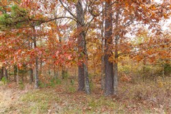 property photo for Hawkcrest Tract 21, 5.27 acres for sale in Reynolds County, Missouri