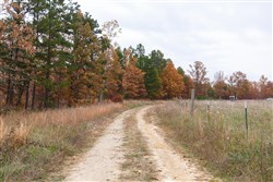 property photo for Hawkcrest Tract 21, 5.27 acres for sale in Reynolds County, Missouri