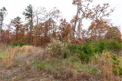 property photo for Hawkcrest Tract 21, 5.27 acres for sale in Reynolds County, Missouri