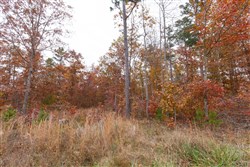 property photo for Hawkcrest Tract 21, 5.27 acres for sale in Reynolds County, Missouri