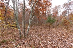 Hawkcrest Tract 27