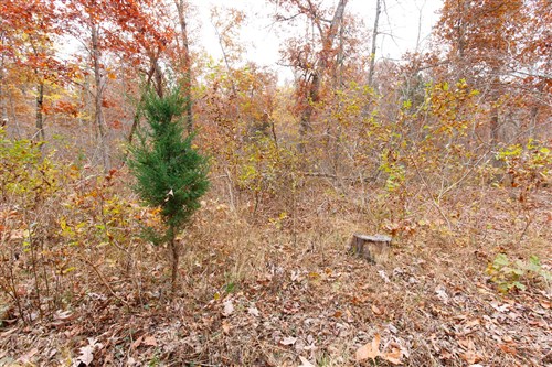 Hawkcrest Tract 27