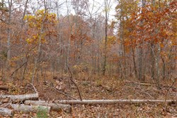 Hawkcrest Tract 27