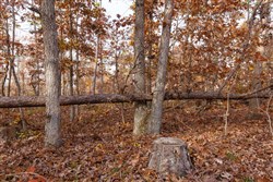 Hawkcrest Tract 30