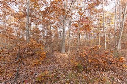 Hawkcrest Tract 30