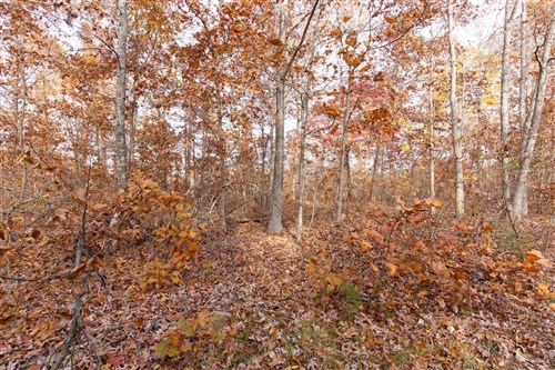 Hawkcrest Tract 30