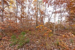 Hawkcrest Tract 30