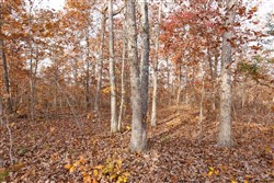 Hawkcrest Tract 30