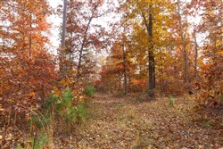 Hawkcrest Tract 35