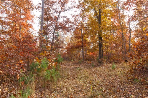 Hawkcrest Tract 35