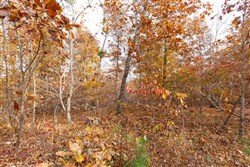 Hawkcrest Tract 35