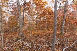 Hawkcrest Tract 35