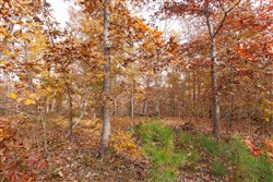 Hawkcrest Tract 35