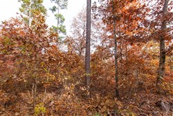 Hawkcrest Tract 35