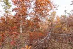 Hawkcrest Tract 35