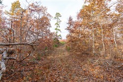 Hawkcrest Tract 36
