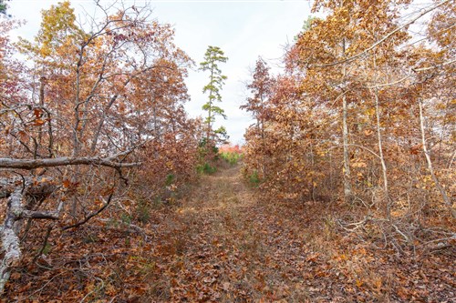 Hawkcrest Tract 36