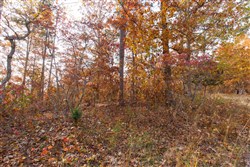 Hawkcrest Tract 36