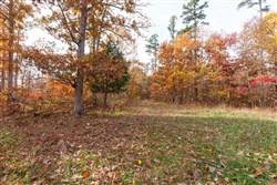 Hawkcrest Tract 36