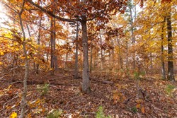Hawkcrest Tract 36