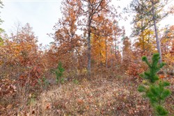Hawkcrest Tract 36