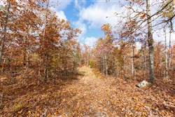 property photo for Hawkcrest Tract 39, 8.34 acres for sale in Reynolds County, Missouri