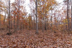 property photo for Hawkcrest Tract 39, 8.34 acres for sale in Reynolds County, Missouri