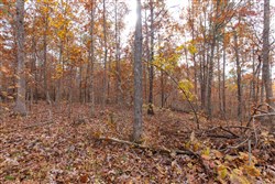 property photo for Hawkcrest Tract 39, 8.34 acres for sale in Reynolds County, Missouri