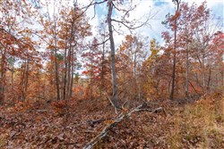property photo for Hawkcrest Tract 39, 8.34 acres for sale in Reynolds County, Missouri