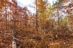 property photo for Hawkcrest Tract 39, 8.34 acres for sale in Reynolds County, Missouri