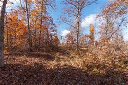 Hawkcrest Tract 40