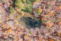 Hawkcrest Tract 40