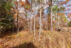 Hawkcrest Tract 40