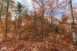 Hawkcrest Tract 40