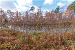Hawkcrest Tract 40