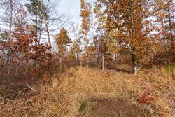 Hawkcrest Tract 42