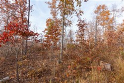 Hawkcrest Tract 42
