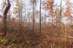 Hawkcrest Tract 42