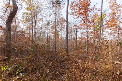 Hawkcrest Tract 42