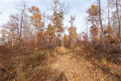 Hawkcrest Tract 42