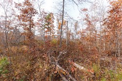 Hawkcrest Tract 42