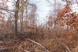 Hawkcrest Tract 42