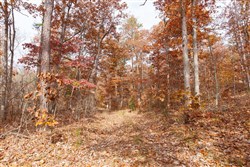 Hawkcrest Tract 45
