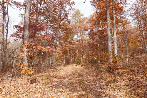 Hawkcrest Tract 45