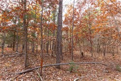 Hawkcrest Tract 45