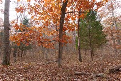 Hawkcrest Tract 45