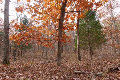 Hawkcrest Tract 45