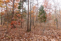 Hawkcrest Tract 45